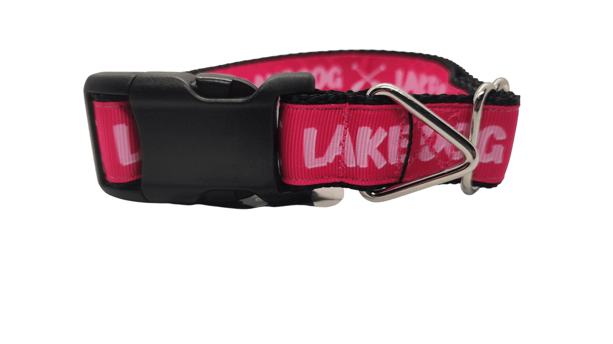 Lake Dog Pink Nylon Dog Collar - American Bark Bliss