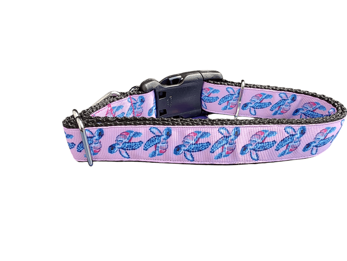 Pink Purple Sea Turtles Nylon Dog Collar - American Bark Bliss