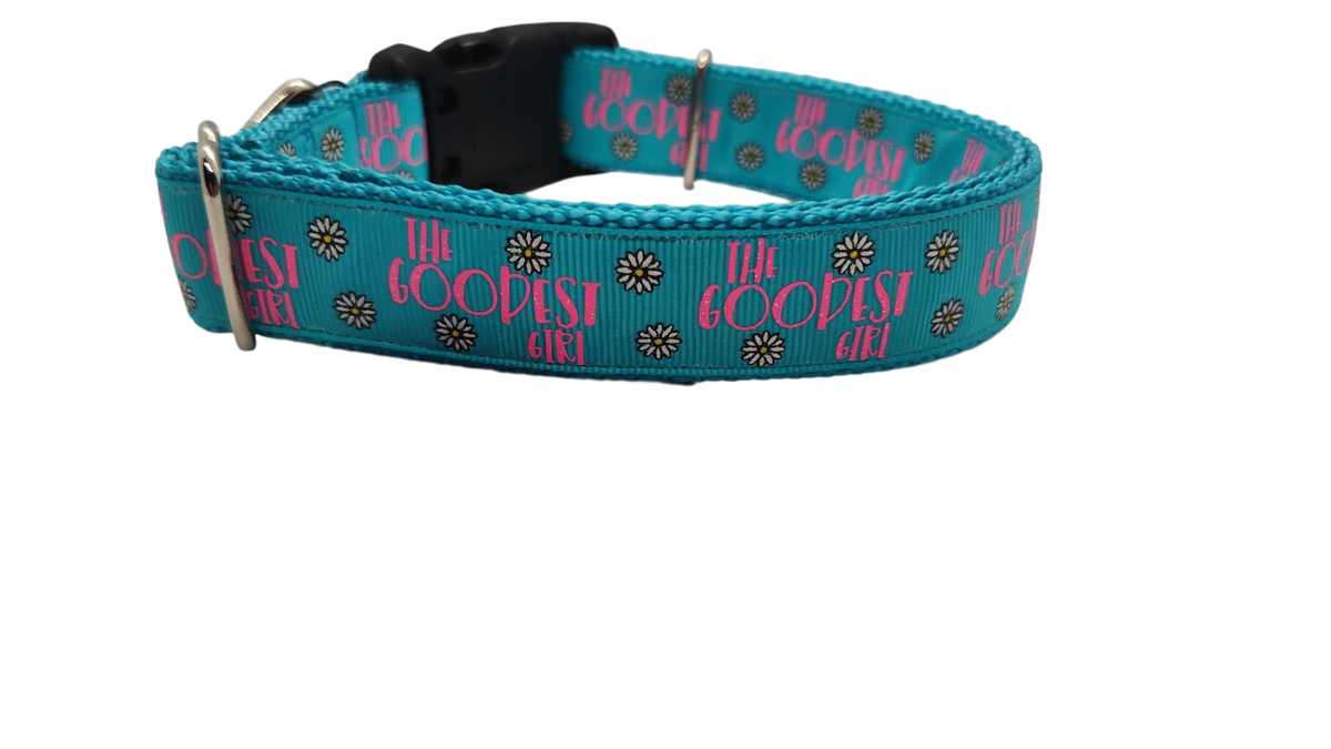 The Goodest Girl Nylon Dog Collar - American Bark Bliss