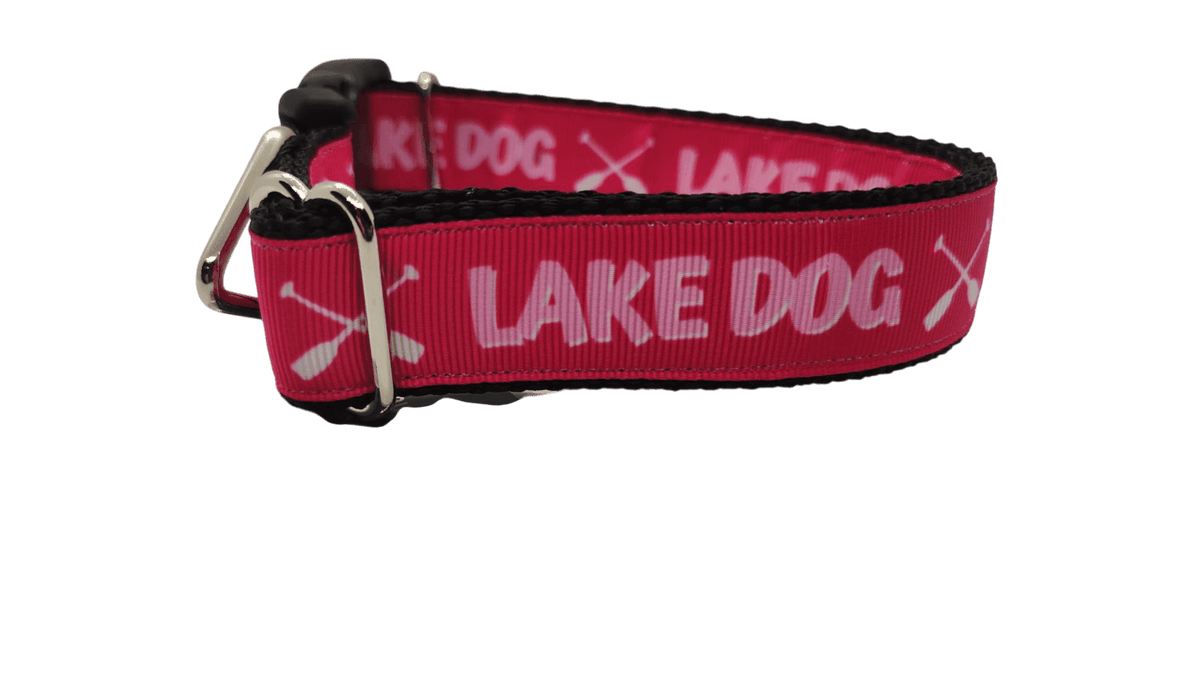 Lake Dog Pink Nylon Dog Collar - American Bark Bliss