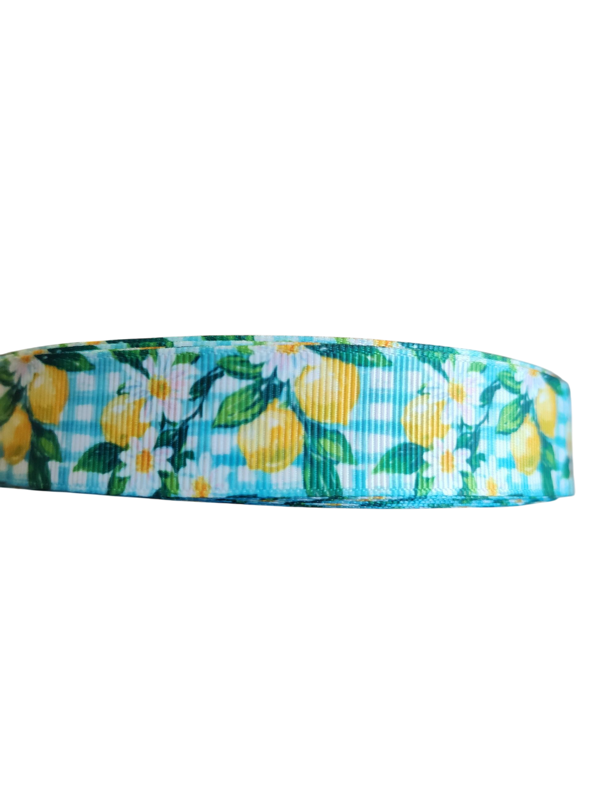 Gingham Lemons Nylon Dog Collar