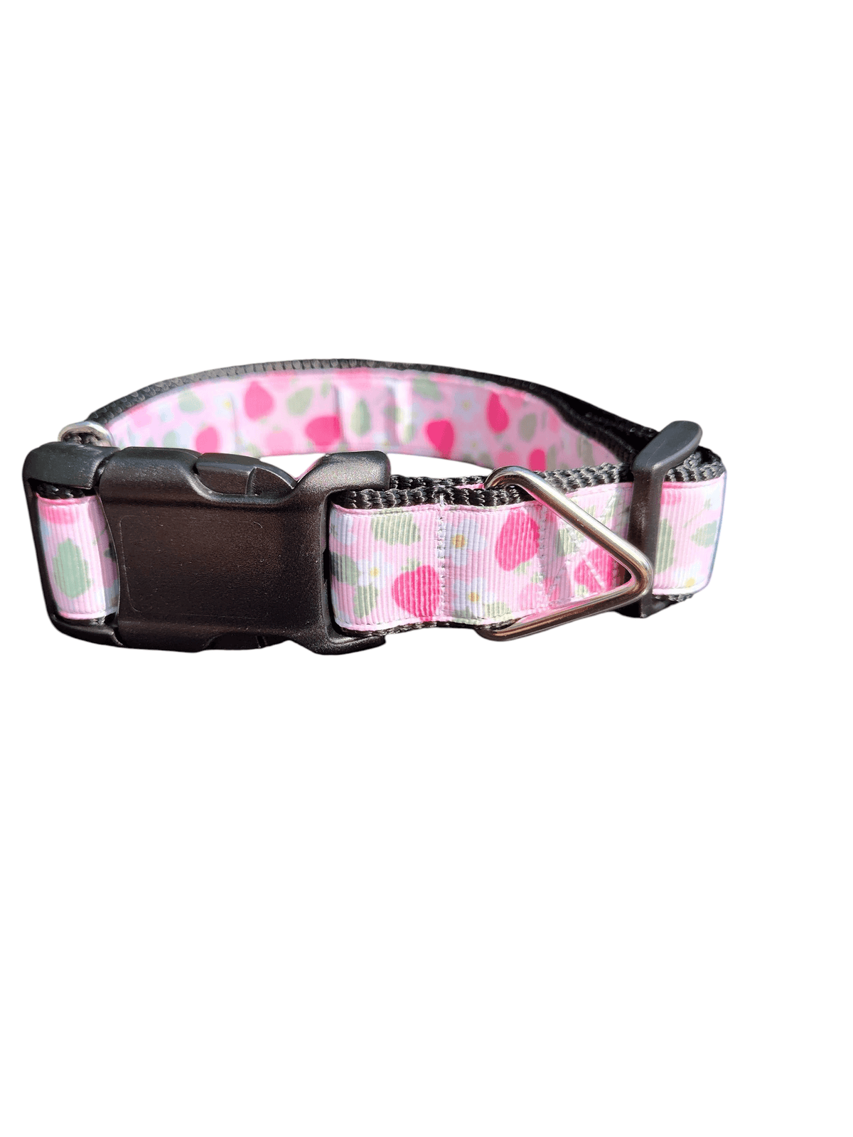 Pink Strawberries Nylon Dog Collar - American Bark Bliss