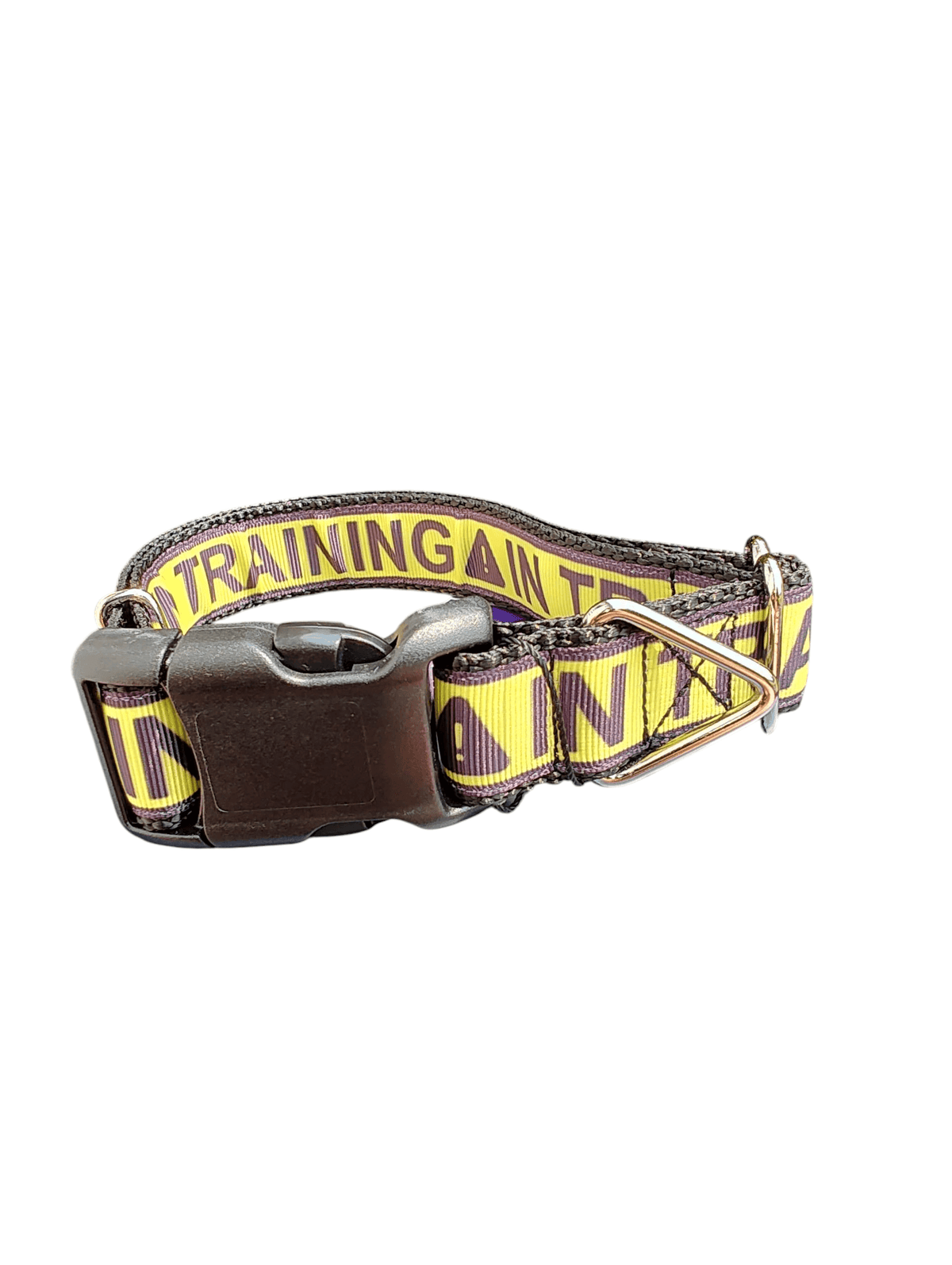In Training Nylon Dog Collar - American Bark Bliss