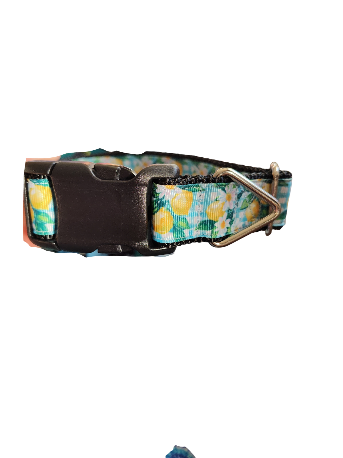 Gingham Lemons Nylon Dog Collar