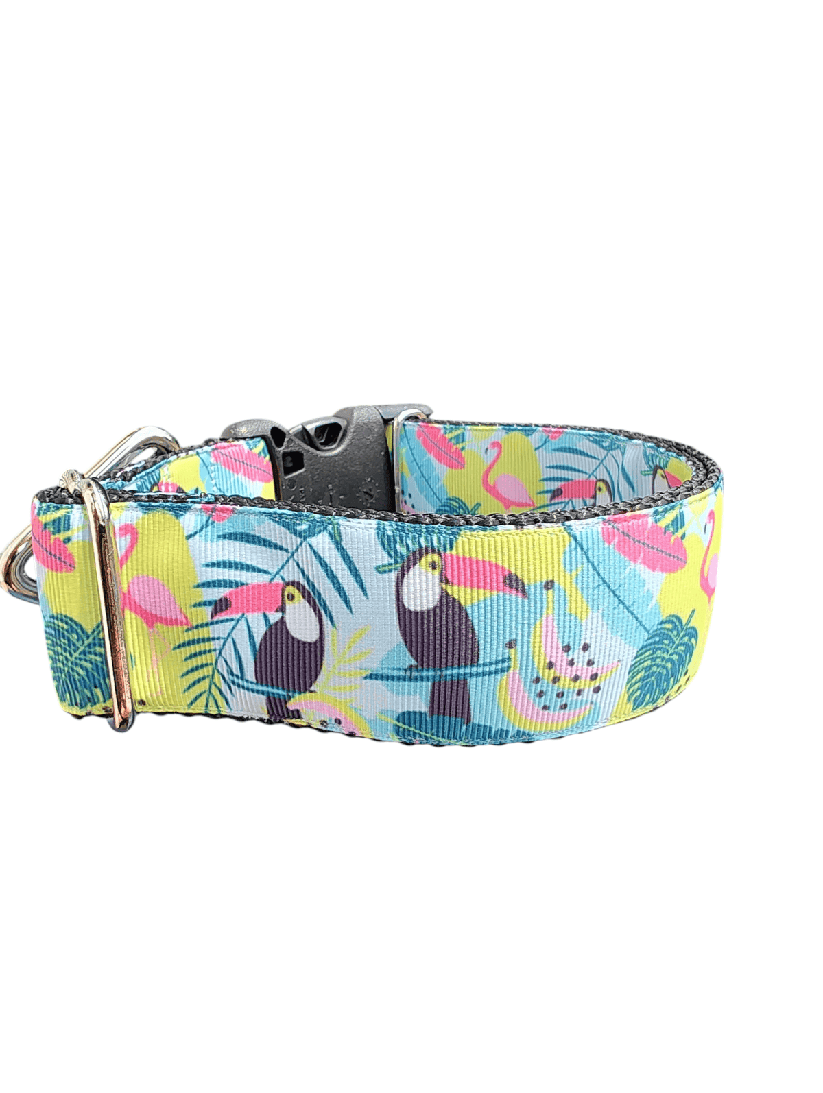 1.5" Wide Tropical Toucans Nylon Dog Collar - American Bark Bliss