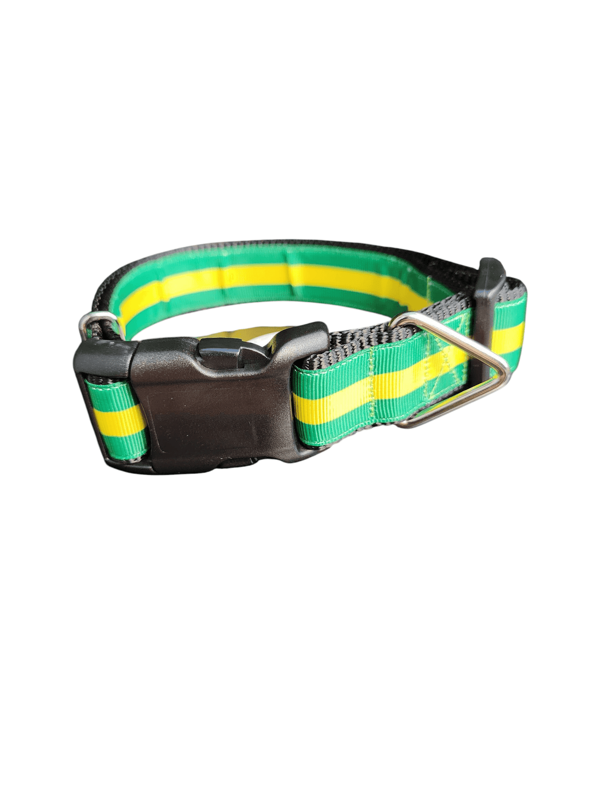 Green And Gold Nylon Dog Collar - American Bark Bliss