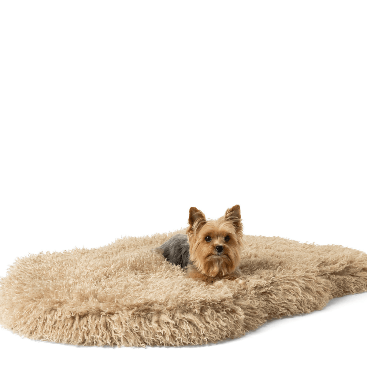 Orthopedic Faux Fur Dog Bed - Plush Sheep Tan - American Bark Bliss