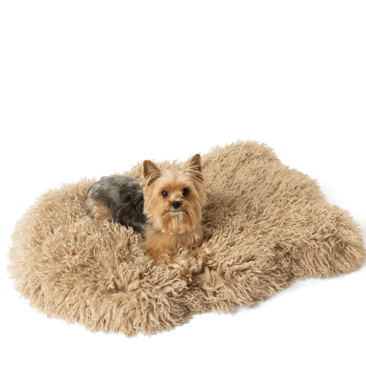 Orthopedic Faux Fur Dog Bed - Plush Sheep Tan - American Bark Bliss