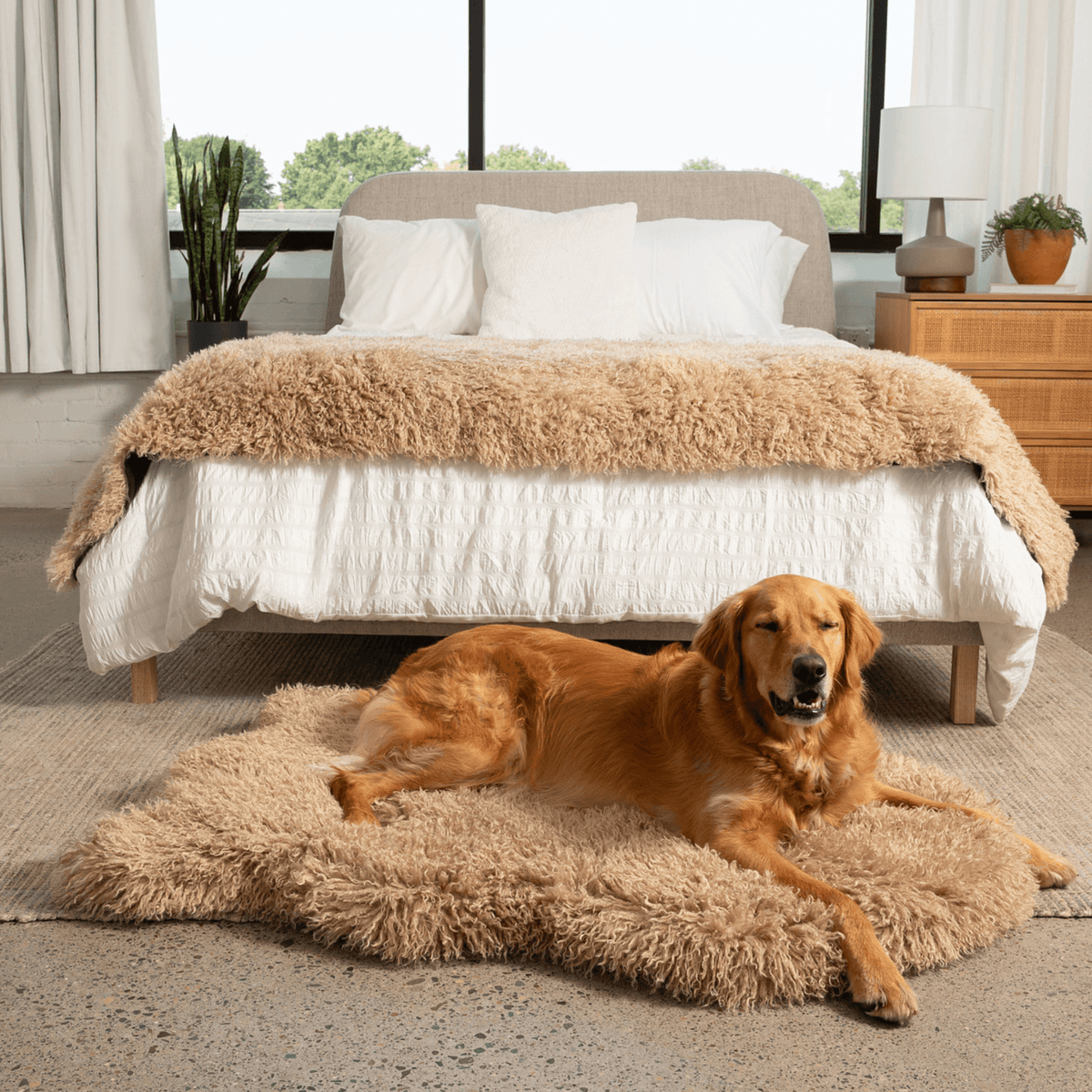 Orthopedic Faux Fur Dog Bed - Plush Sheep Tan - American Bark Bliss