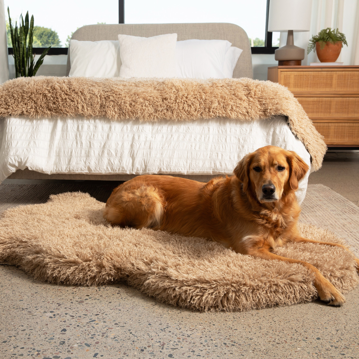 PupRug® Luxe Faux Fur Orthopedic Dog Bed -  Plush Sheep Tan