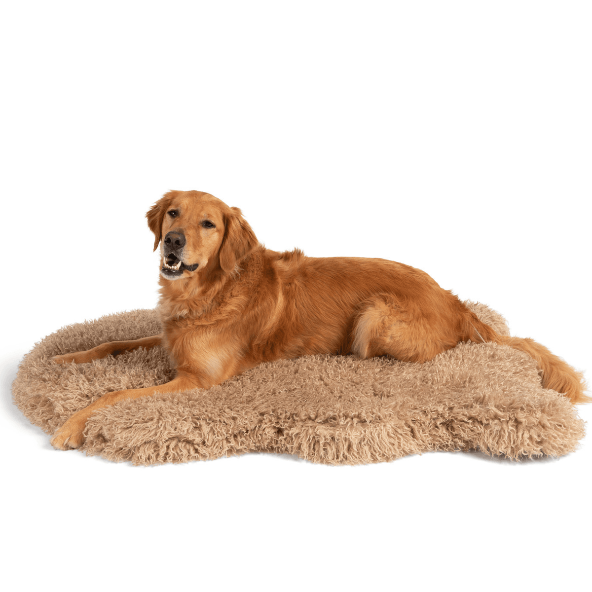 Orthopedic Faux Fur Dog Bed - Plush Sheep Tan - American Bark Bliss