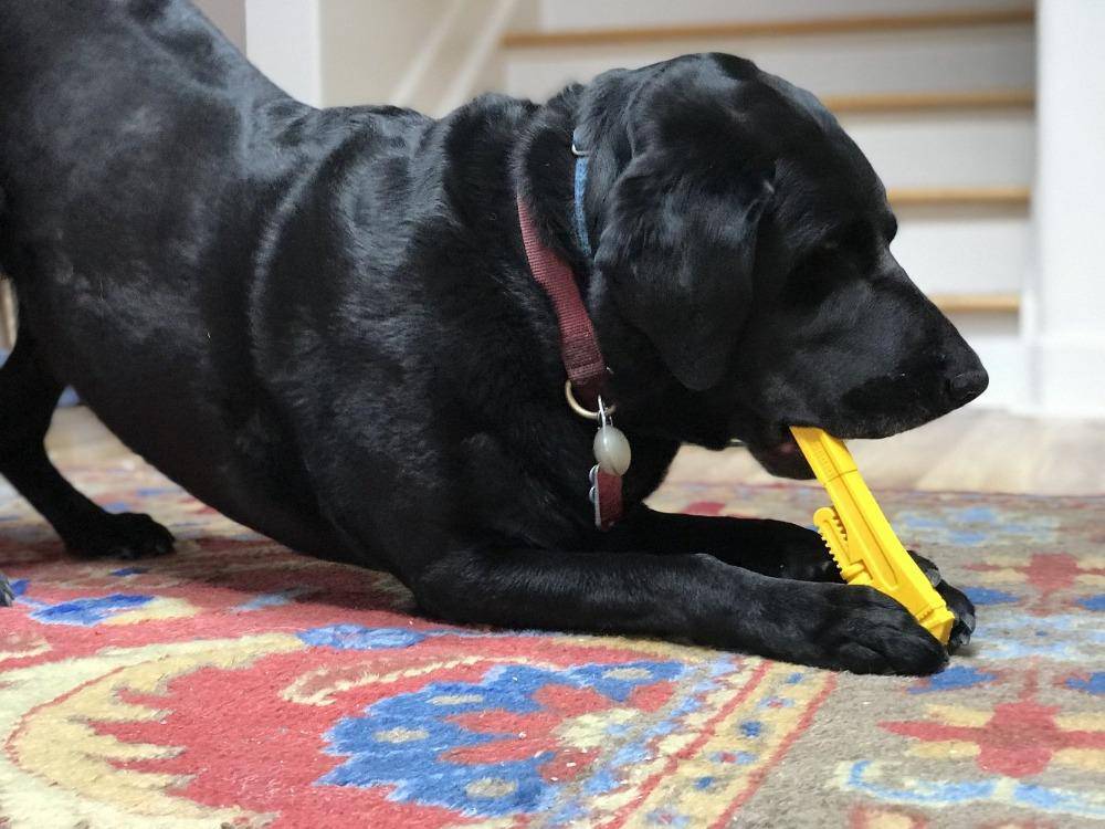 Pipe Wrench Nylon Dog Toy for Aggressive Chewers | USA Made | SodaPup - American Bark Bliss