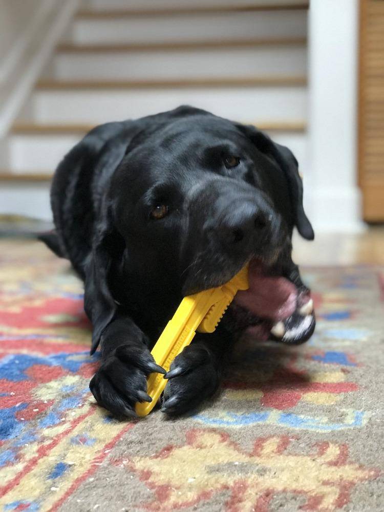 Pipe Wrench Nylon Dog Toy for Aggressive Chewers | USA Made | SodaPup - American Bark Bliss