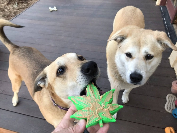 Colorado Maple Leaf Nylon Dog Chew Toy for Aggressive Chewers | USA Made - American Bark Bliss