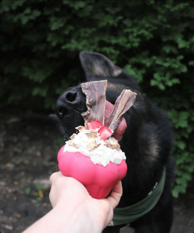 Cupcake eDispenser Durable Rubber Chew Toy & Treat Dispenser - American Bark Bliss