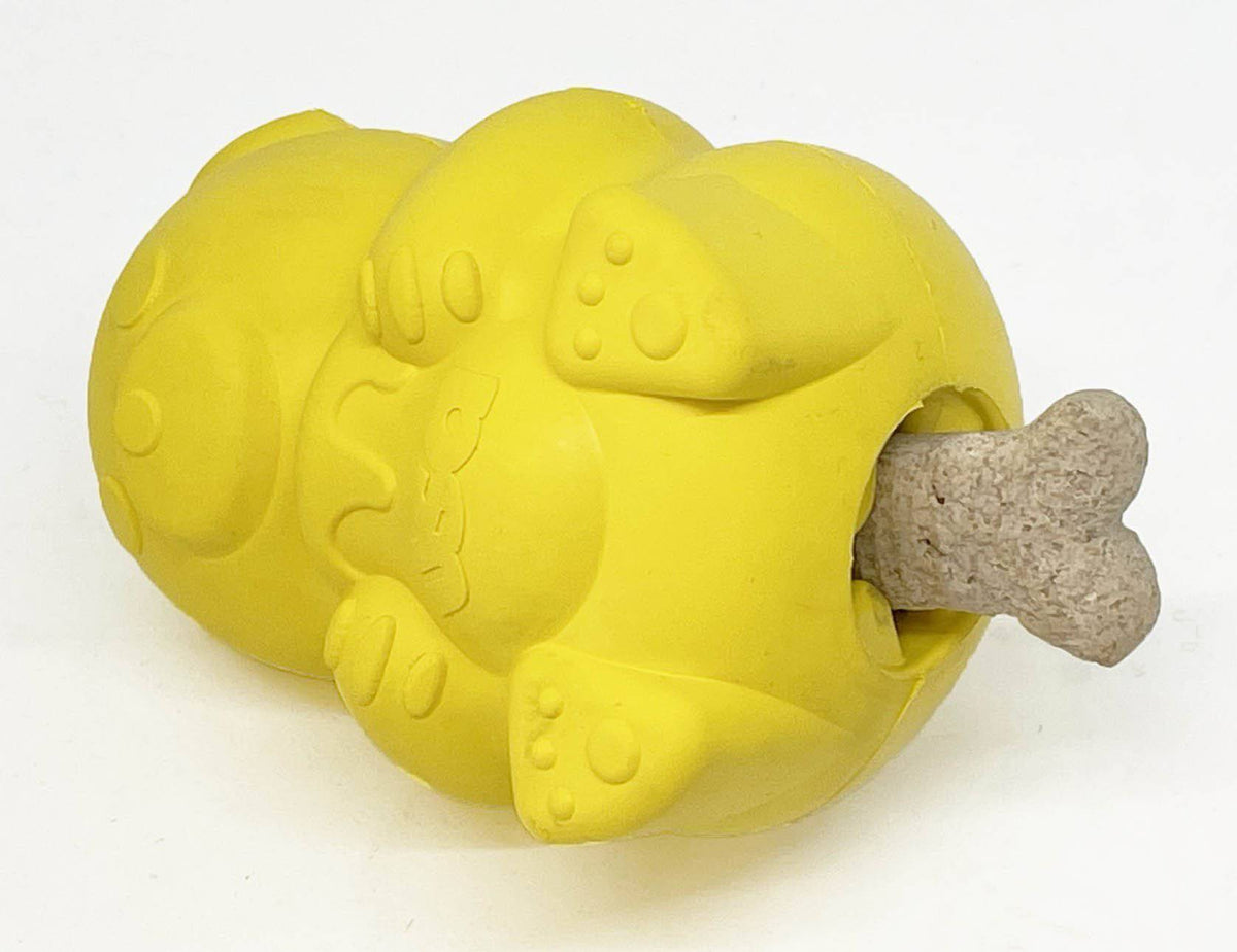 Honey Bear eDispenser Durable Rubber Treat Dispenser - American Bark Bliss