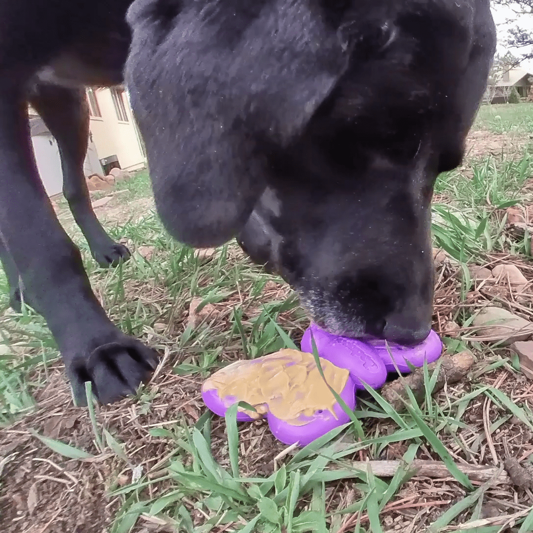Butterfly Nylon Chew & Enrichment Toy | 2-in-1 for Aggressive Chewers | SodaPup - American Bark Bliss