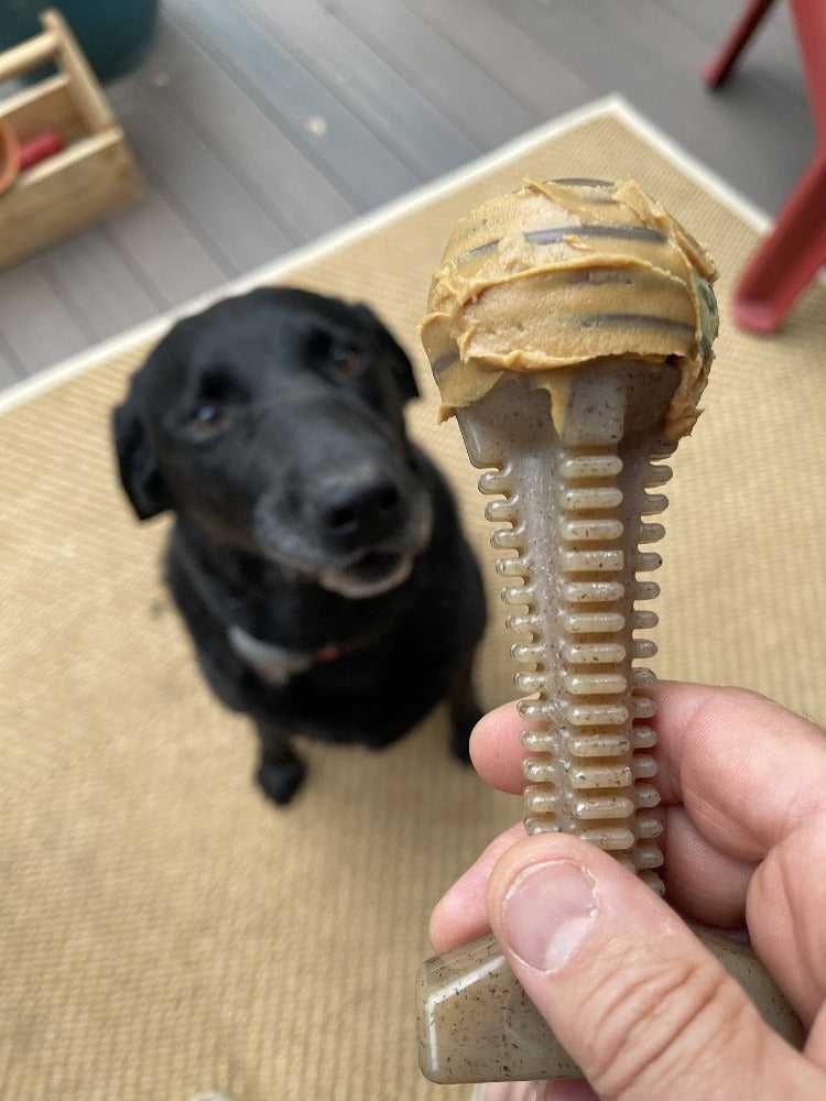 Honey Bone Dental Tower Nylon Chew Toy for Aggressive Chewers | USA Made - American Bark Bliss