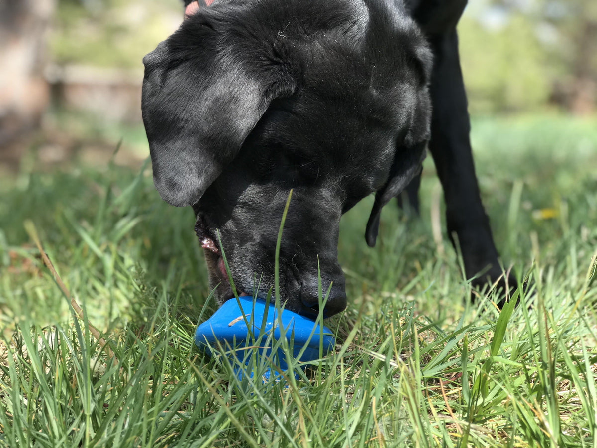 Flying Saucer eDispenser Durable Rubber Chew Toy & Treat Dispenser - American Bark Bliss