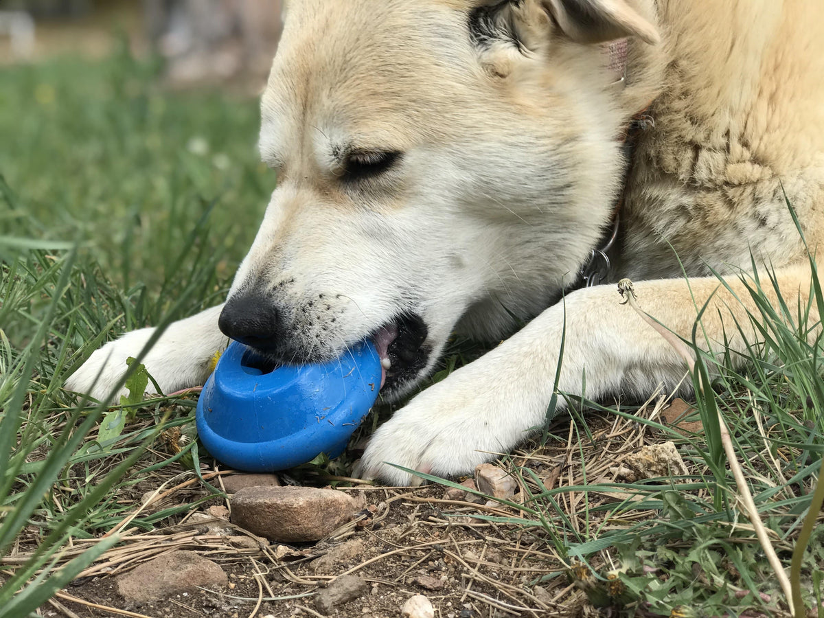 Flying Saucer eDispenser Durable Rubber Chew Toy & Treat Dispenser - American Bark Bliss
