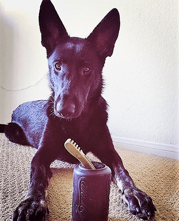 SP Magnum Can Toy eDispenser Ultra Durable Rubber Chew Toy & Treat Dispenser - Power Chewers - American Bark Bliss