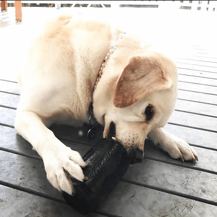 SP Magnum Can Toy eDispenser Ultra Durable Rubber Chew Toy & Treat Dispenser - Power Chewers - American Bark Bliss
