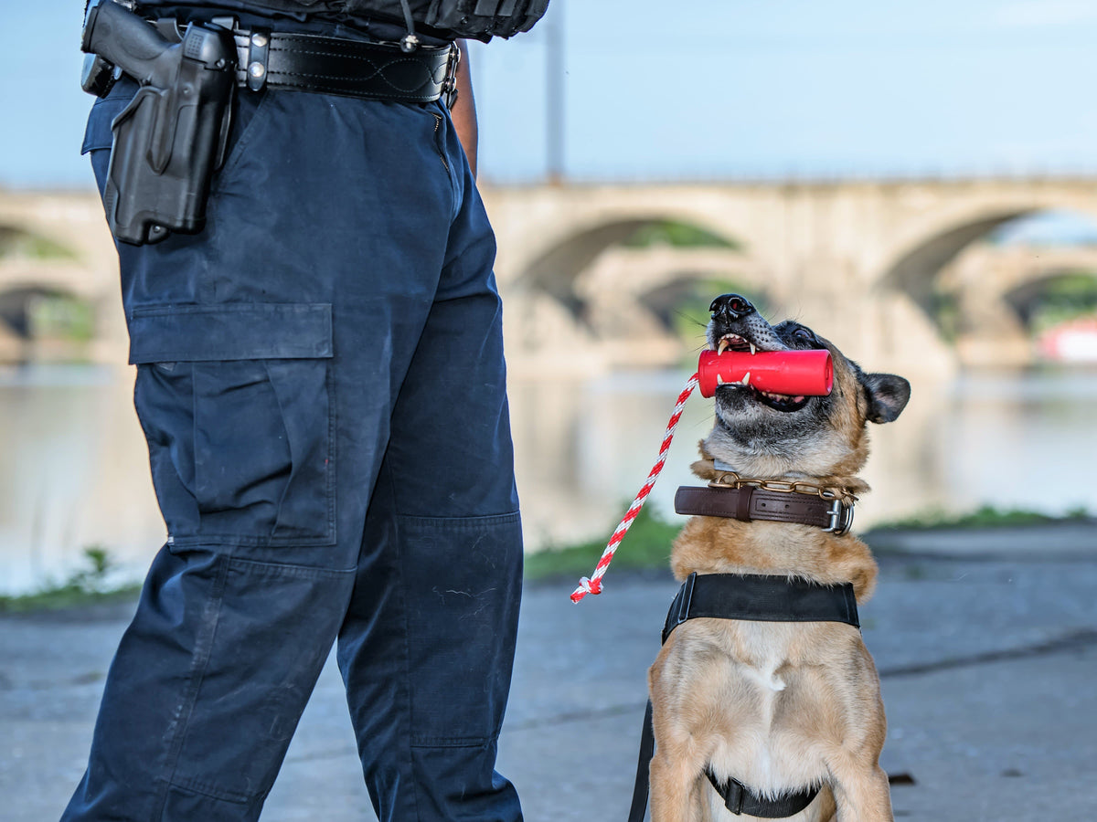 USA-K9 Firecracker Durable Rubber Floating Training Dummy - Large - Red - American Bark Bliss