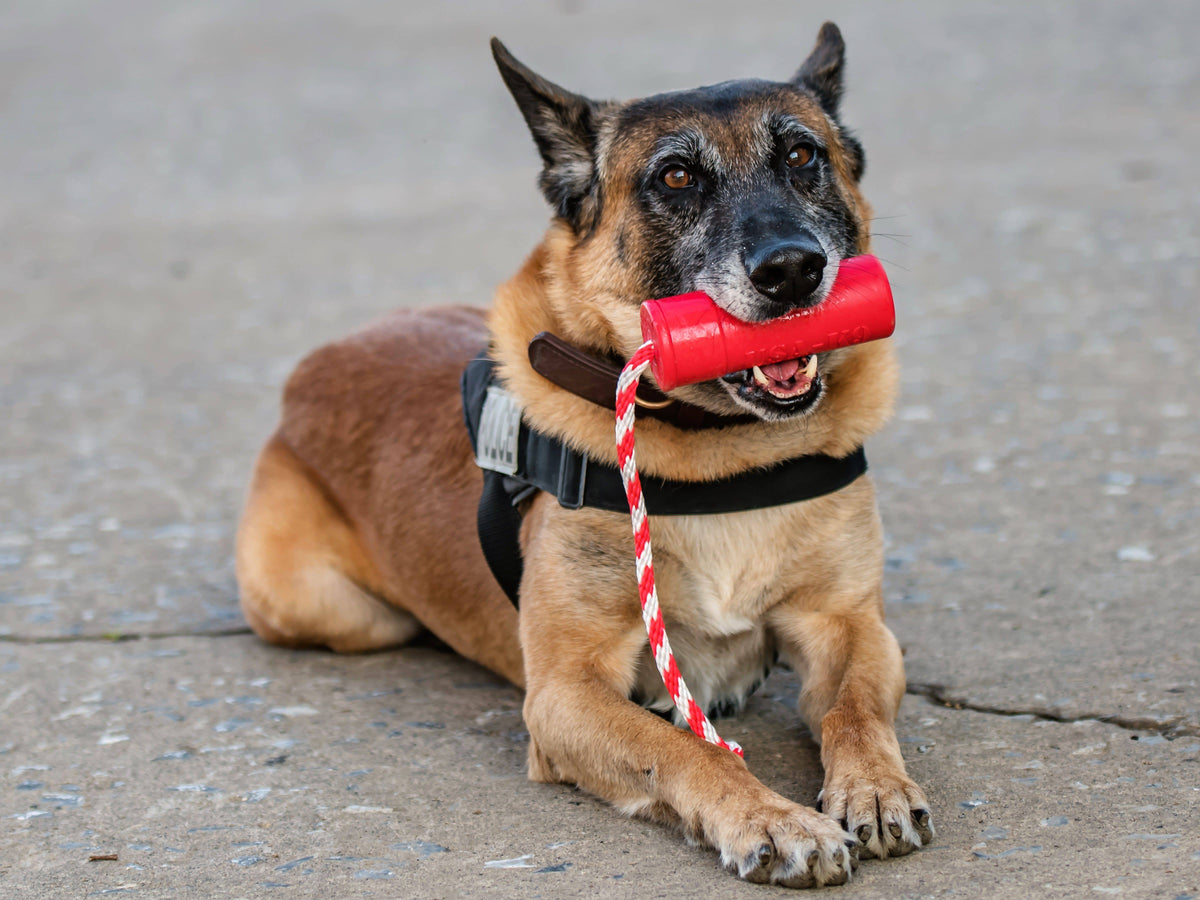 USA-K9 Firecracker Durable Rubber Floating Training Dummy - Large - Red - American Bark Bliss