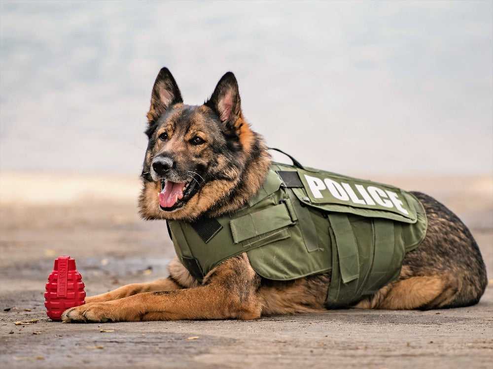 Grenade Shaped eDispenser Durable Dog Chew Toy & Treat Dispenser - Army Green - American Bark Bliss