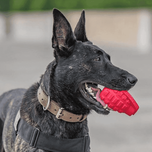 Grenade Shaped eDispenser Durable Dog Chew Toy & Treat Dispenser - Army Green - American Bark Bliss