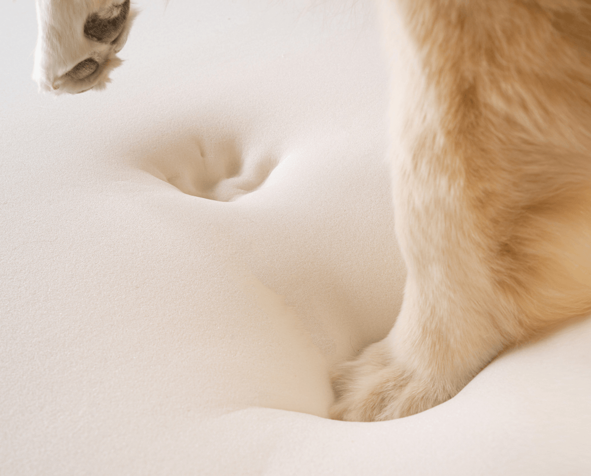 PupRug by Paw.com® Faux Fur Orthopedic Dog Bed - Curve Sable Tan - American Bark Bliss