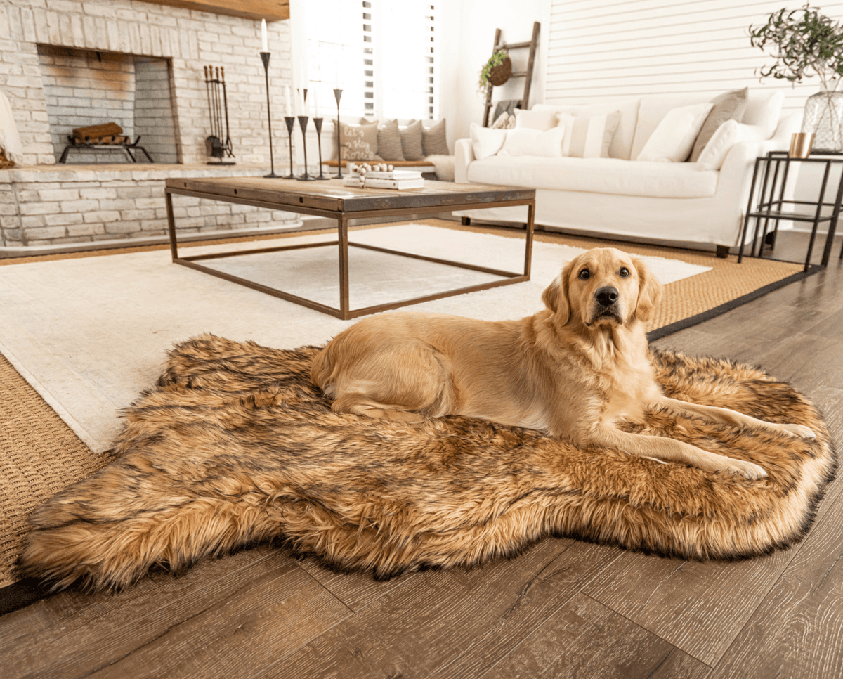 PupRug by Paw.com® Faux Fur Orthopedic Dog Bed - Curve Sable Tan - American Bark Bliss