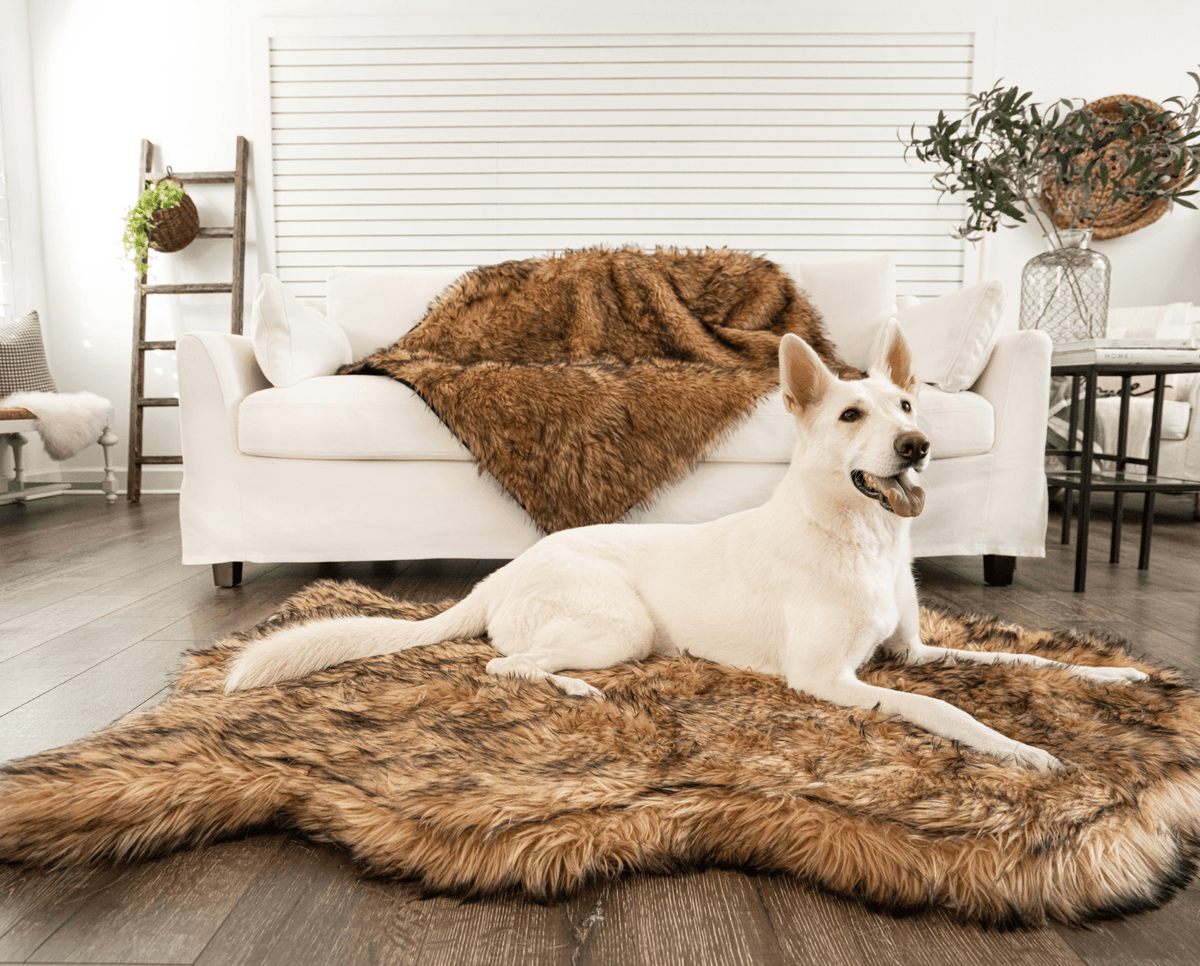 PupRug by Paw.com® Faux Fur Orthopedic Dog Bed - Curve Sable Tan - American Bark Bliss