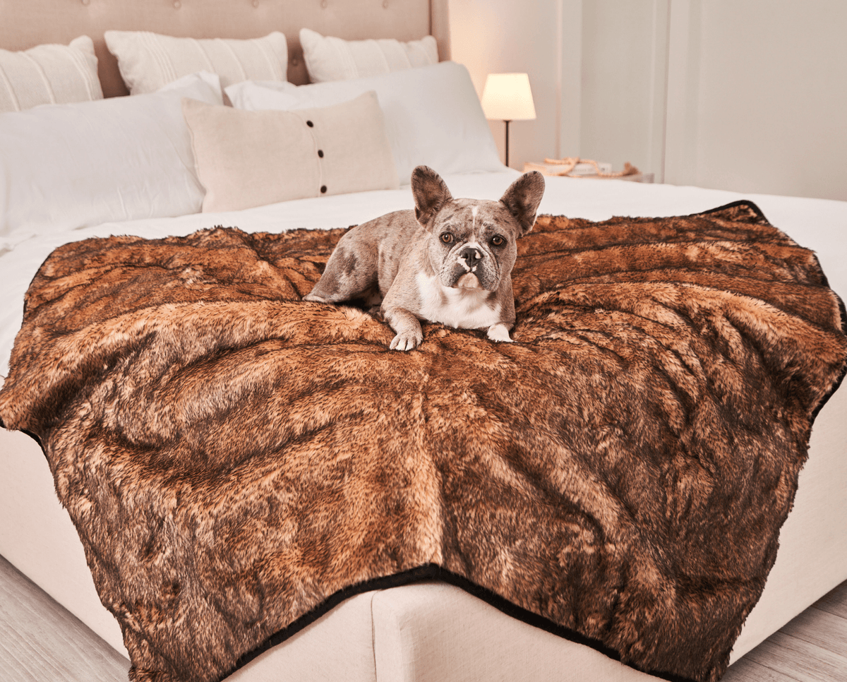 PupProtector™ Waterproof Dog Blanket - Sable Tan - American Bark Bliss
