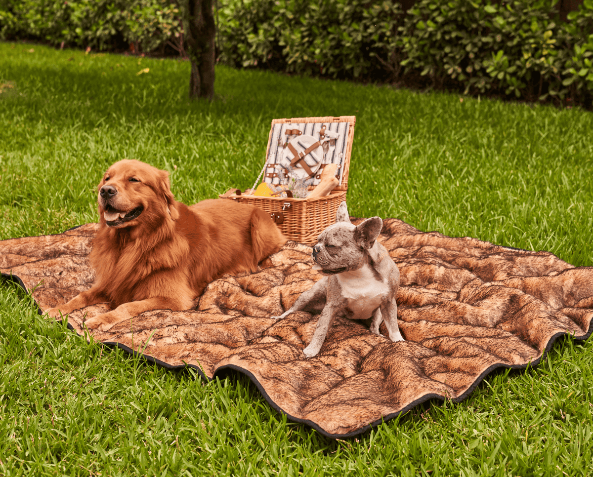 PupProtector™ Waterproof Dog Blanket - Sable Tan - American Bark Bliss