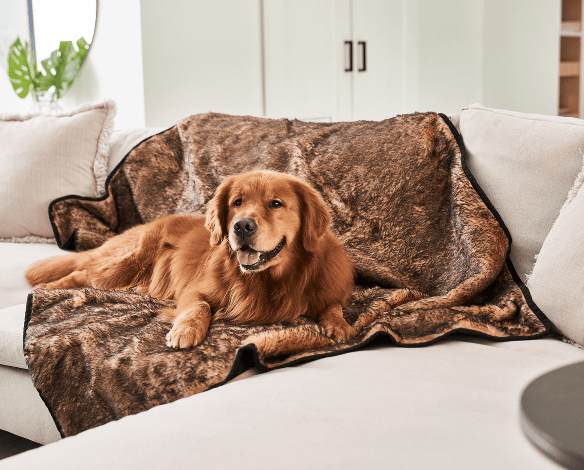 PupProtector™ Waterproof Dog Blanket - Sable Tan - American Bark Bliss