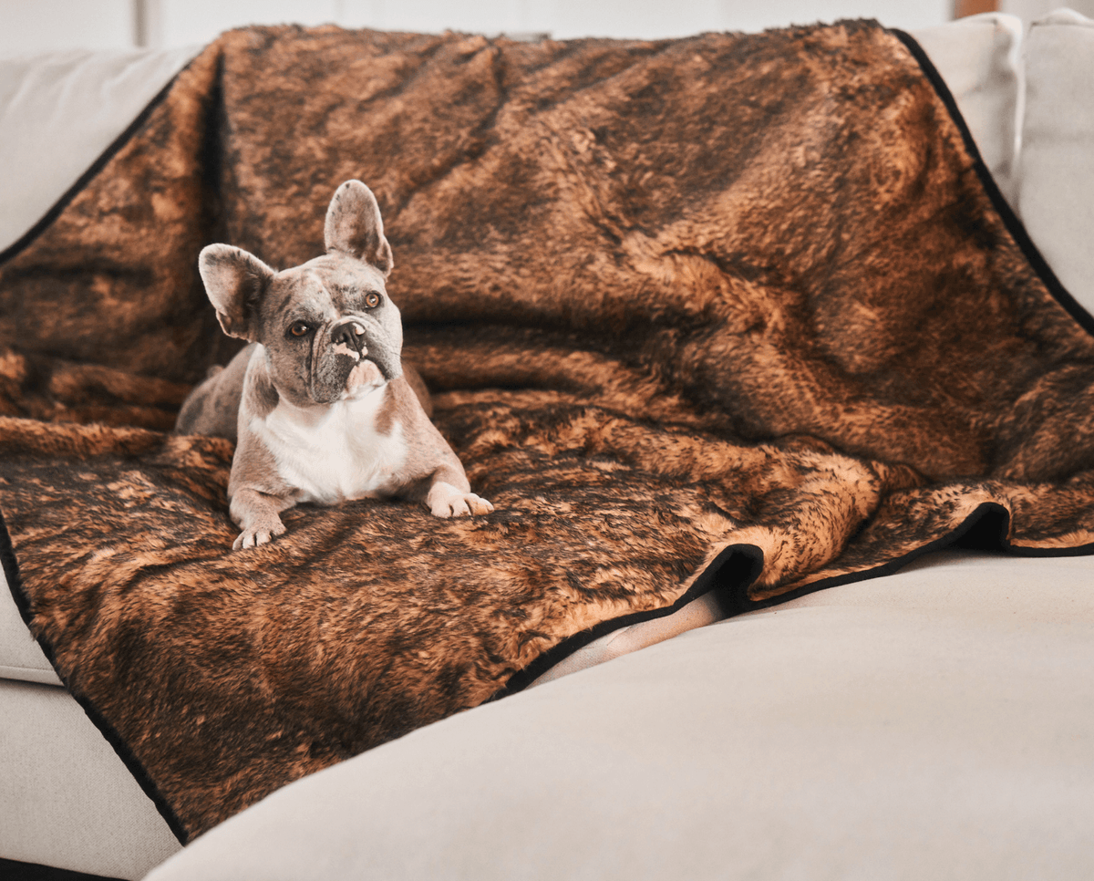 PupProtector™ Waterproof Dog Blanket - Sable Tan - American Bark Bliss