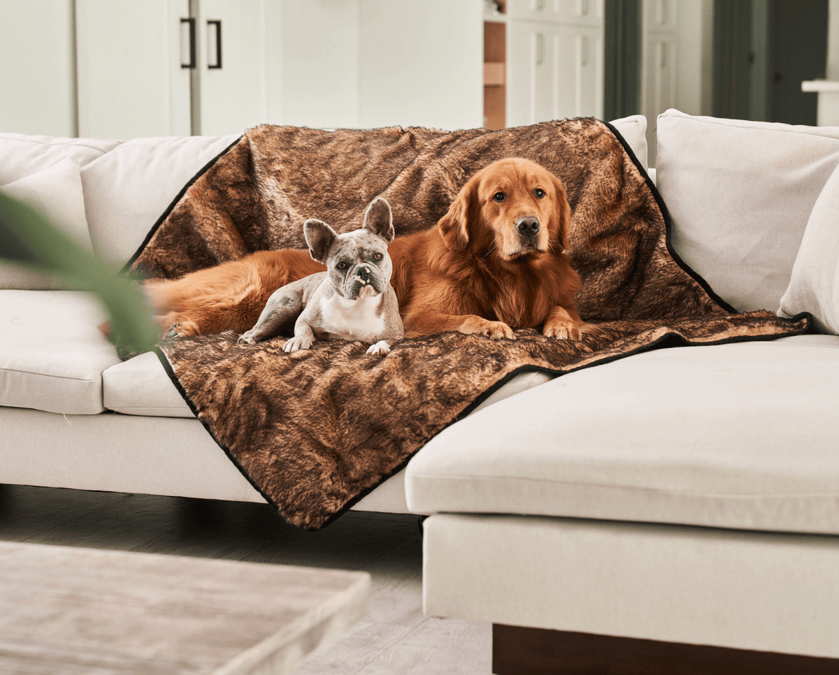 PupProtector™ Waterproof Dog Blanket - Sable Tan - American Bark Bliss