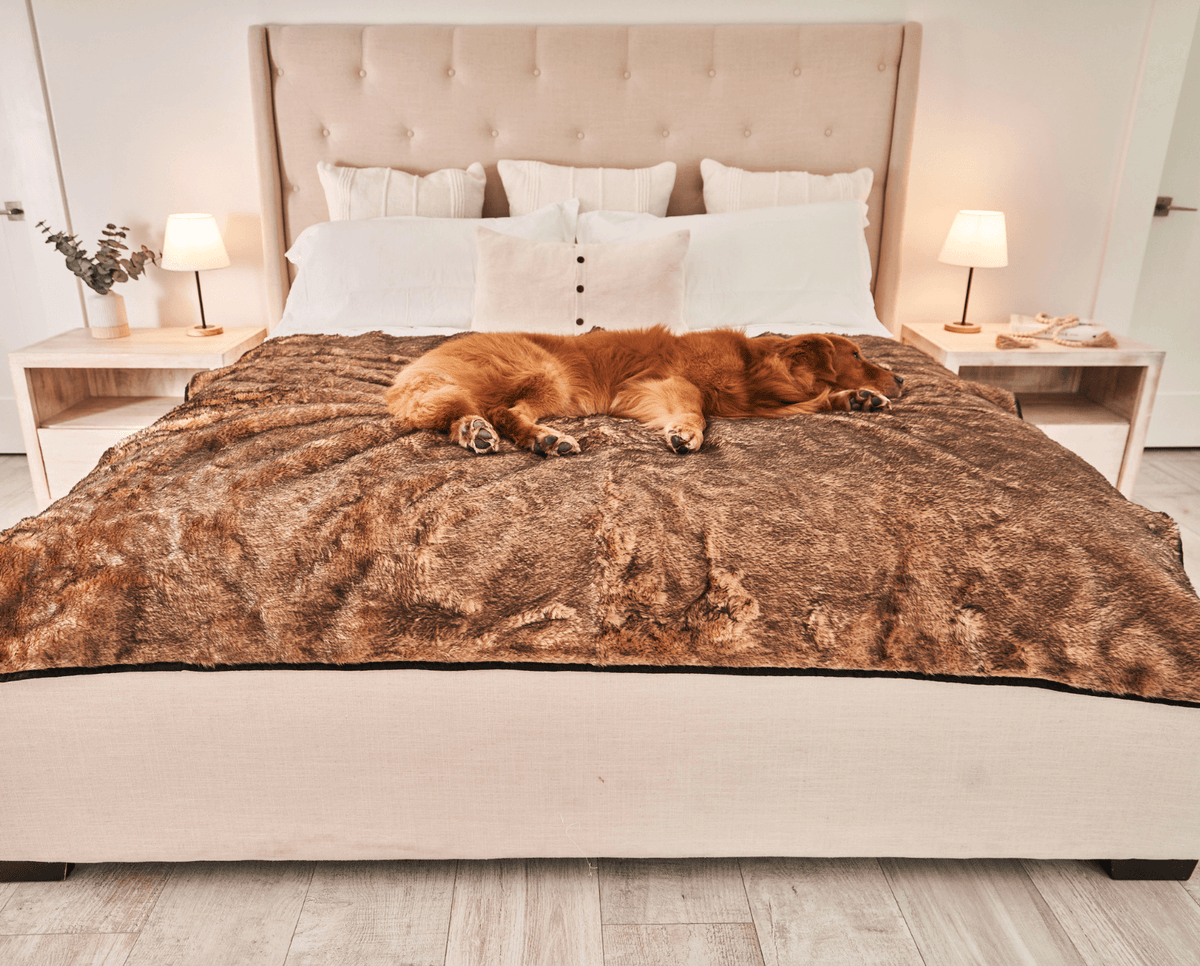 PupProtector™ Waterproof Dog Blanket - Sable Tan - American Bark Bliss