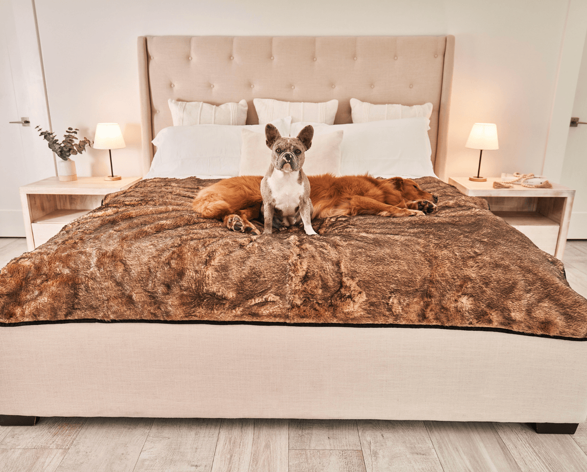 PupProtector™ Waterproof Dog Blanket - Sable Tan - American Bark Bliss