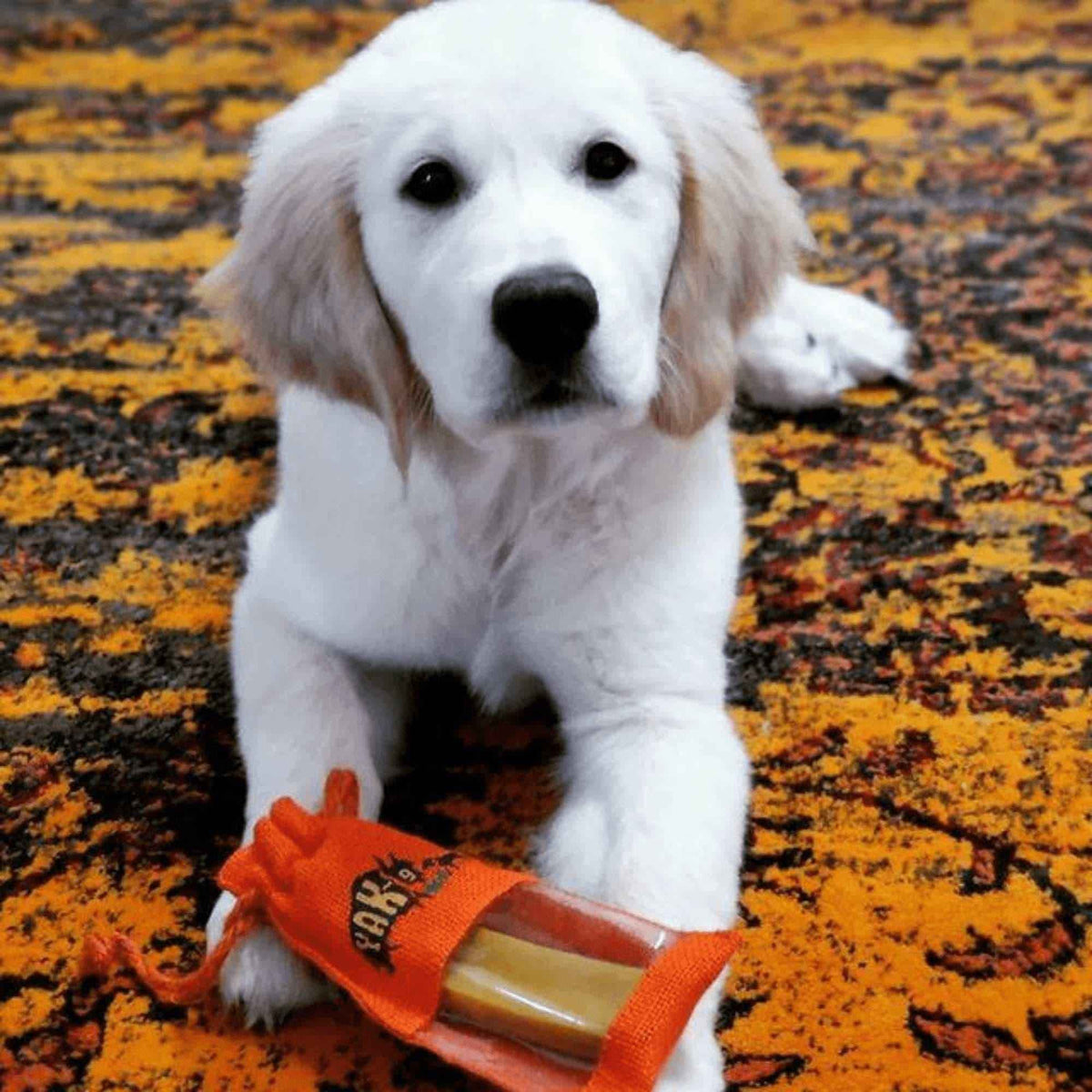 Turmeric Cheese Chews for Dogs