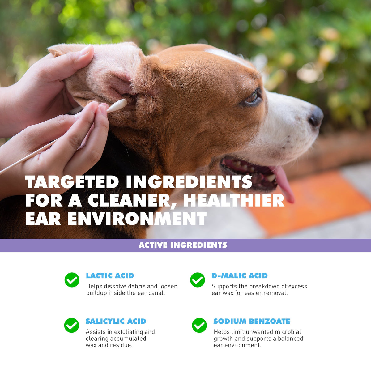 UBAVET Ear Cleansing Solution for Dogs & Cats, 4 fl oz