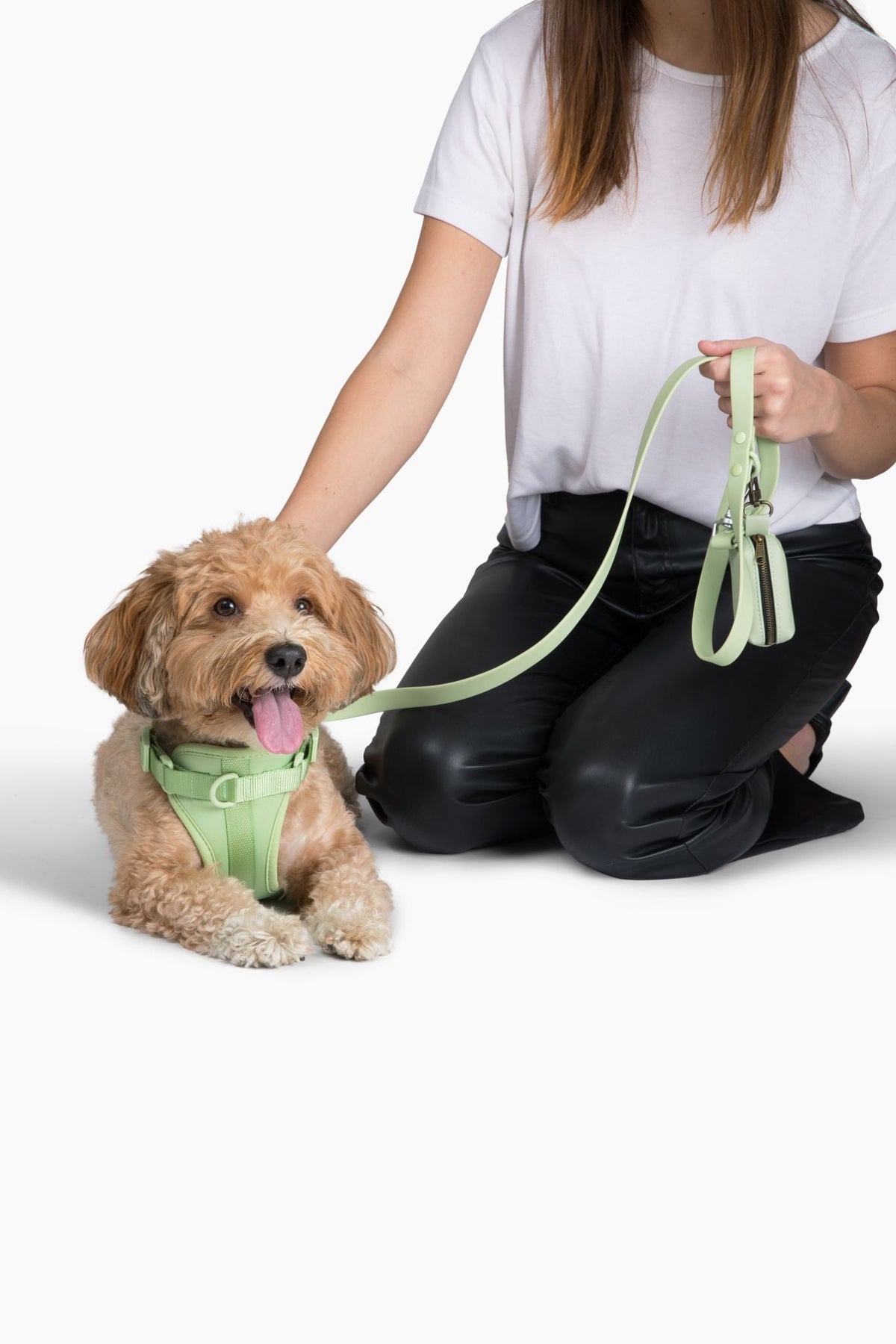 Adjustable Dog Harness for Comfortable Walks - American Bark Bliss