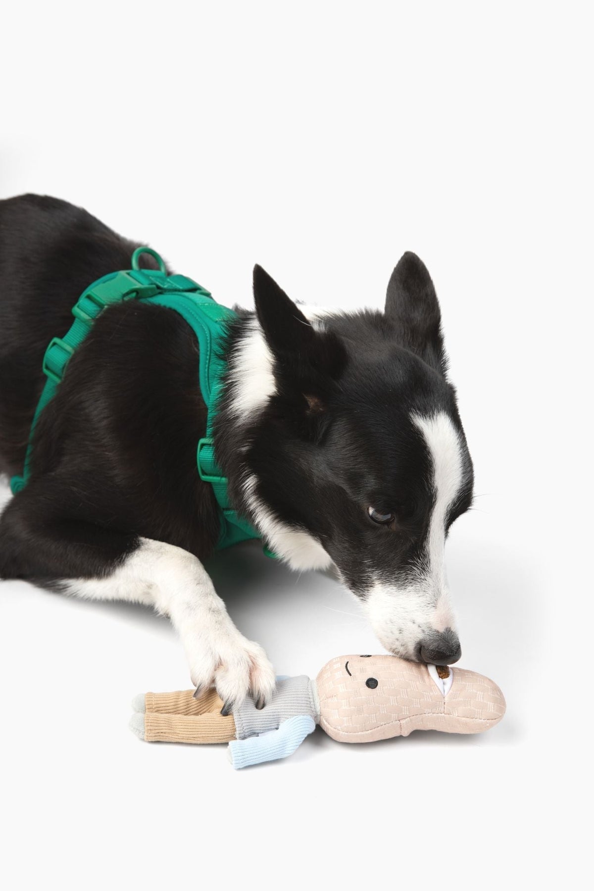 Interactive Peanut Nose Work Dog Toy - American Bark Bliss