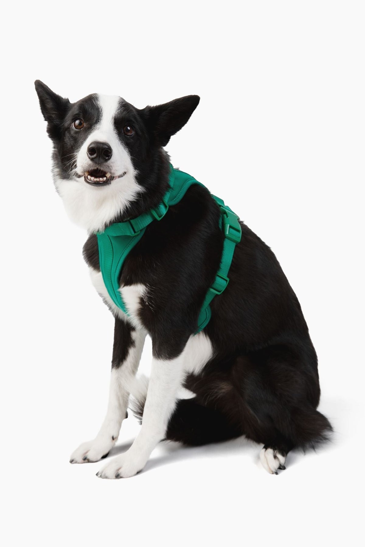 Adjustable Dog Harness for Comfortable Walks - American Bark Bliss