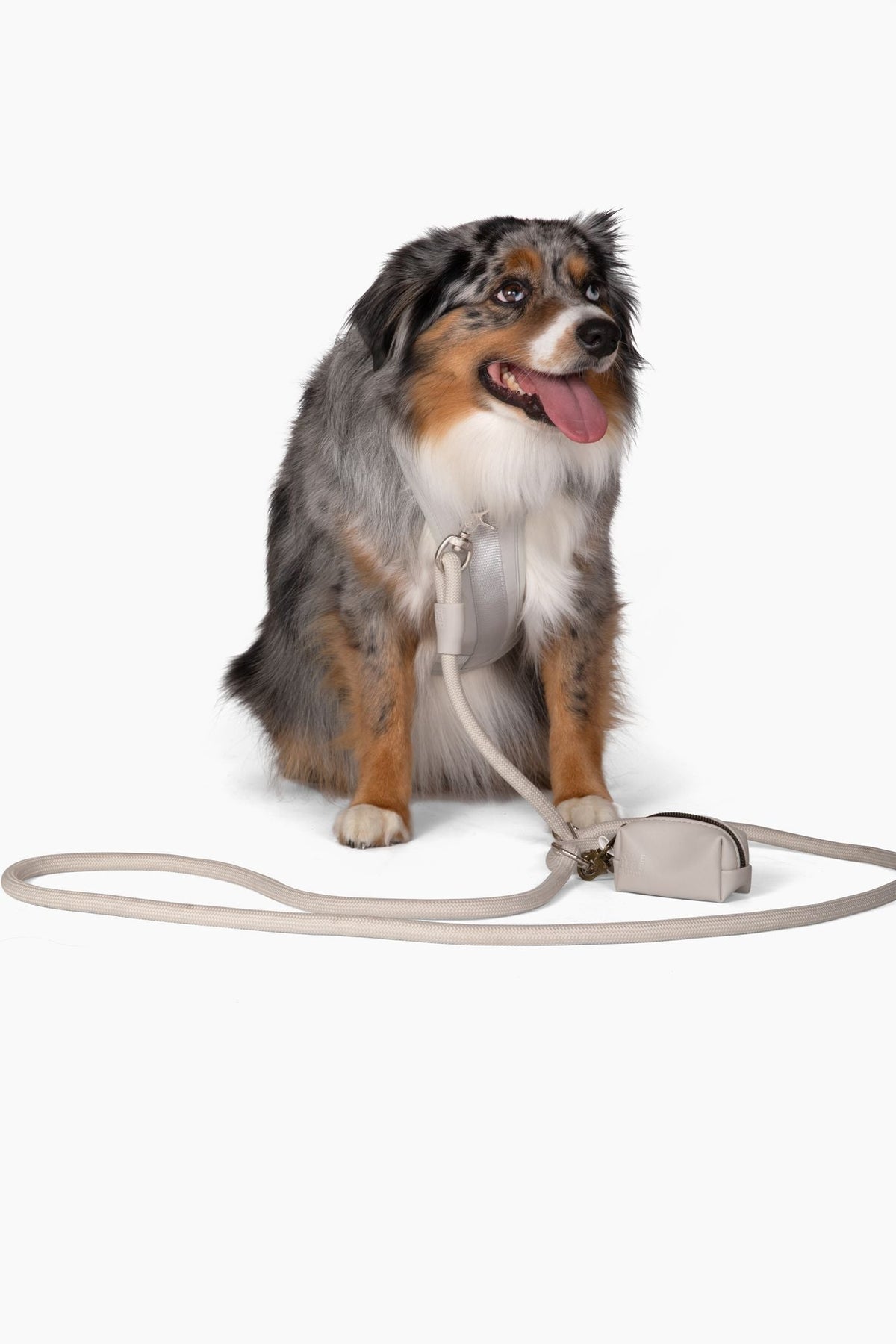 Adjustable Dog Harness for Comfortable Walks - American Bark Bliss