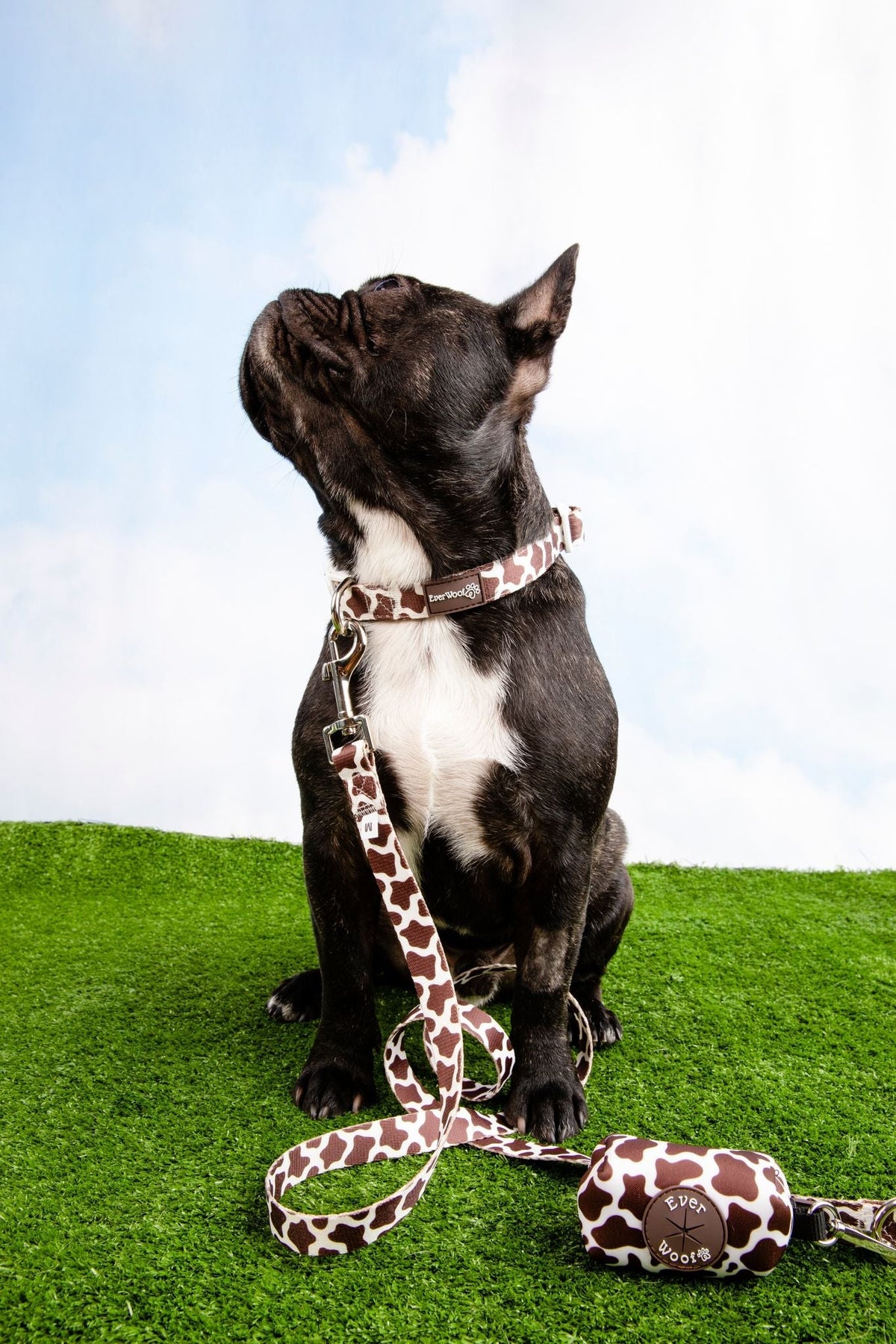 Chocolate Cow Collar - American Bark Bliss
