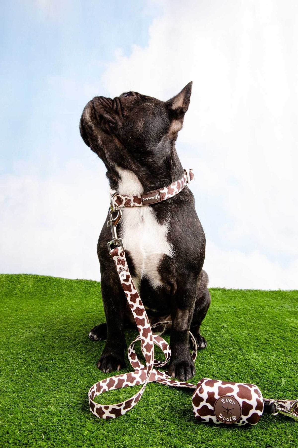 Chocolate Cow Leash - American Bark Bliss
