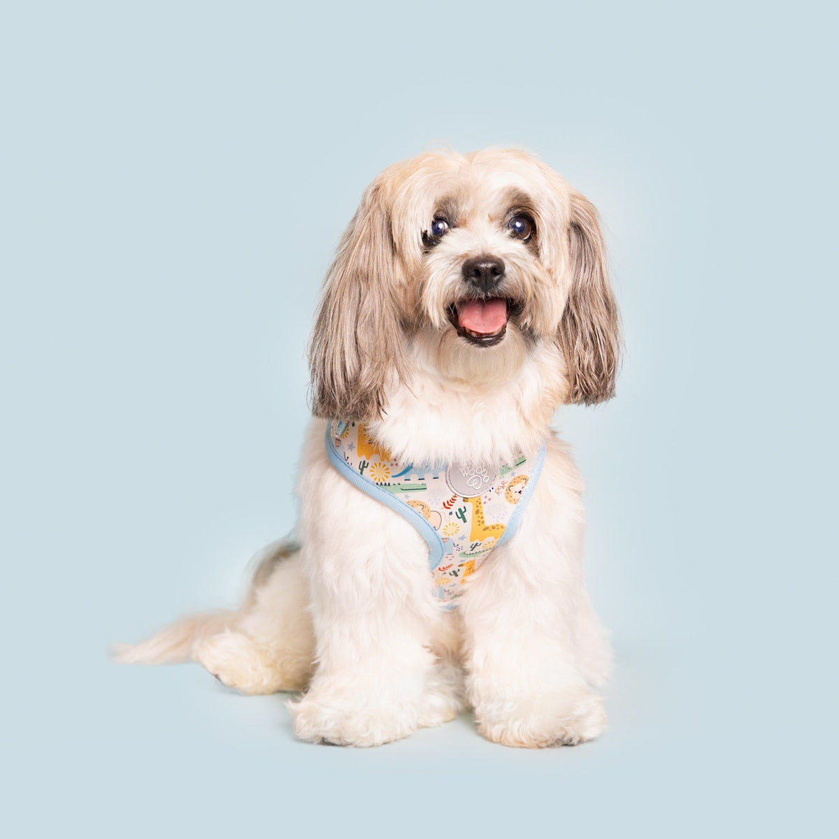 Boho Baby Adjustable Harness - American Bark Bliss
